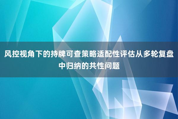 风控视角下的持牌可查策略适配性评估从多轮复盘中归纳的共性问题