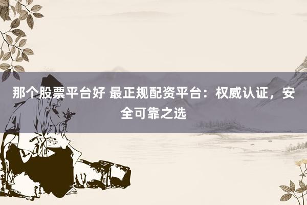 那个股票平台好 最正规配资平台：权威认证，安全可靠之选